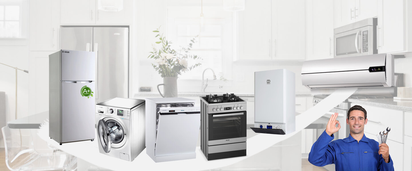 Ataşehir Electrolux Servisi